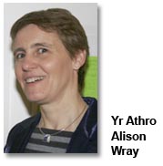 Yr Athro Alison Wray